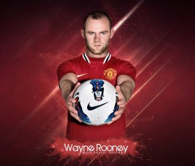 开云功能介绍平台结构介绍真实评测（干货）